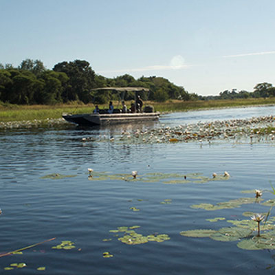 Maun to Kasane - Chobe river