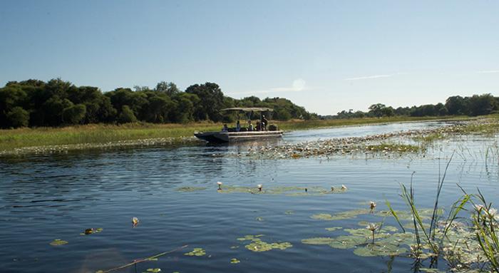 Maun to Kasane - Chobe river